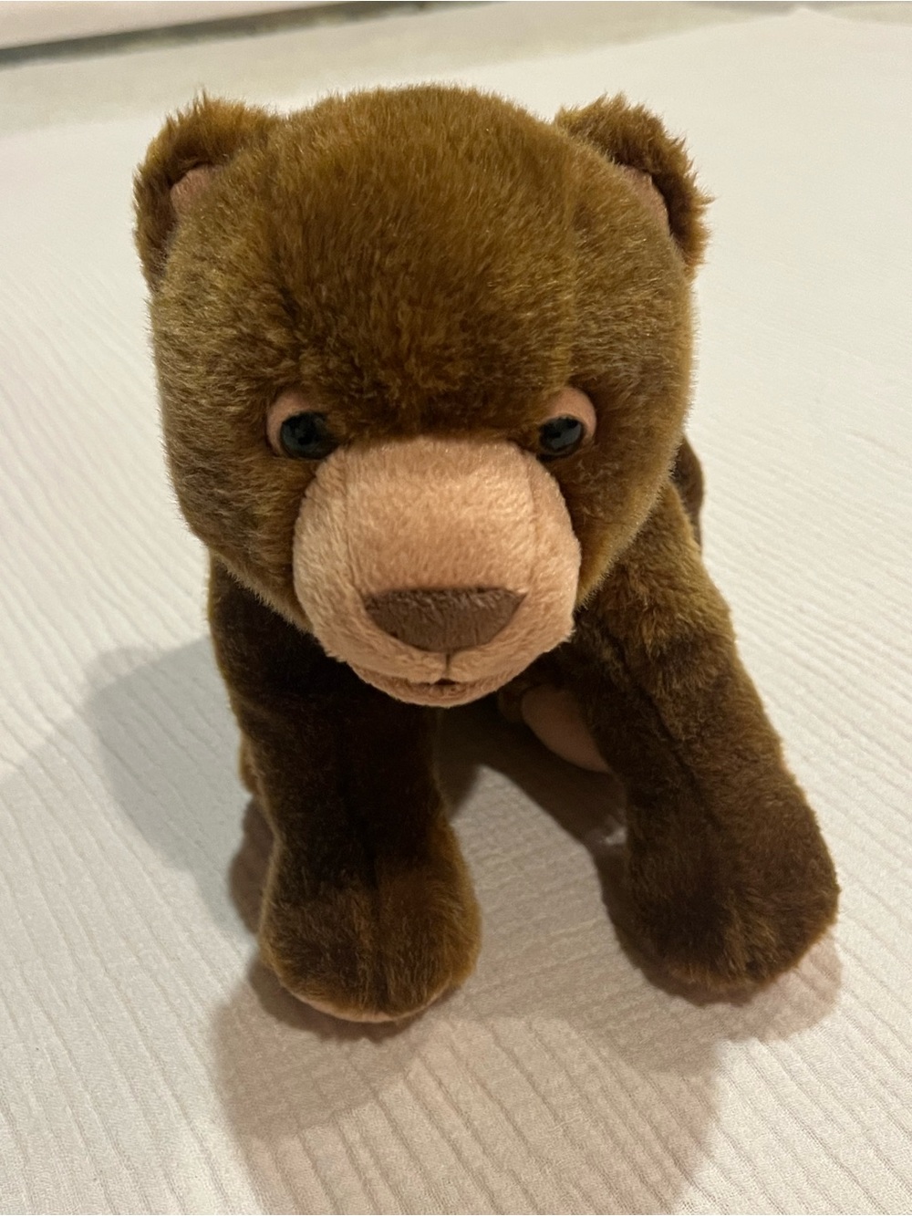 Eric Carle Kohl's Cares 13-inch Brown Bear plush toy "The World of Eric Carle"